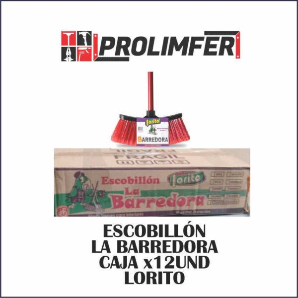 Escobillón La Barredora caja x12 - LORITO