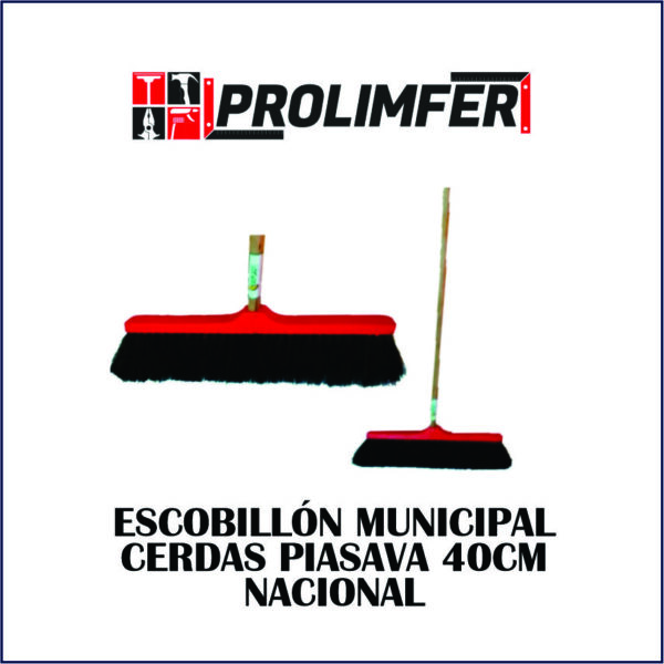 Escobillón municipal cerdas piasava 40cm - NACIONAL