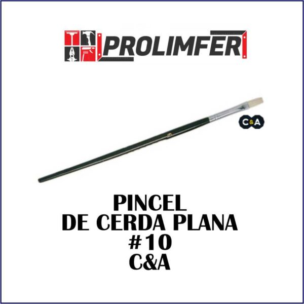 Pincel de cerda plana #10 - C&A