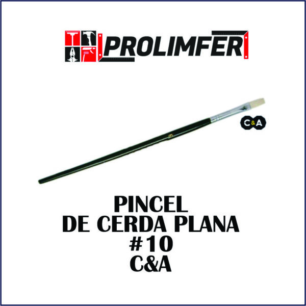 Pincel de cerda plana #10 - C&A