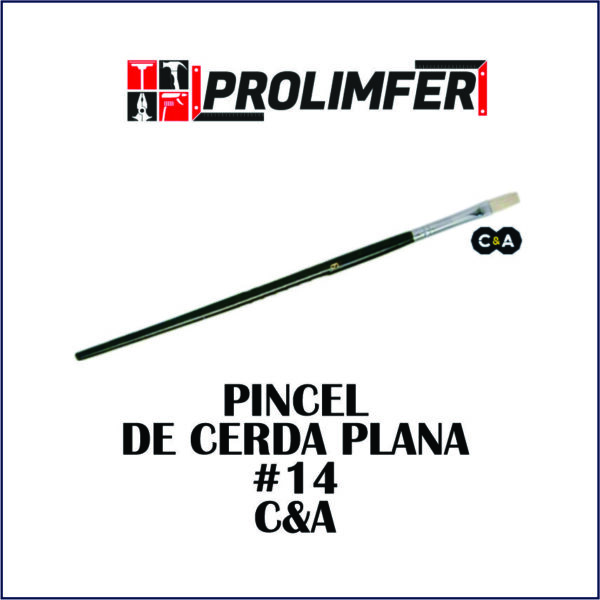 Pincel de cerda plana #14 - C&A