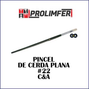 Pincel de cerda plana #22 - C&A