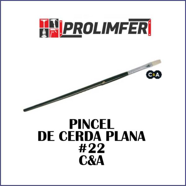 Pincel de cerda plana #22 - C&A