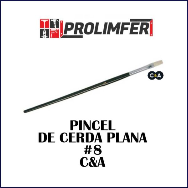 Pincel de cerda plana #8 - C&A